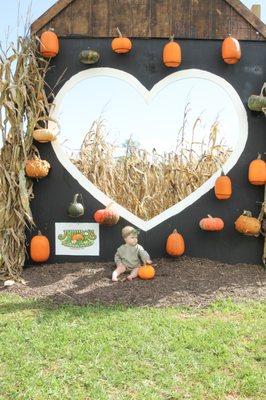 infant fall photoshoot