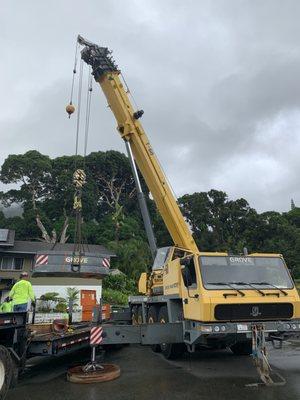 Called in a crane to get the tree branches