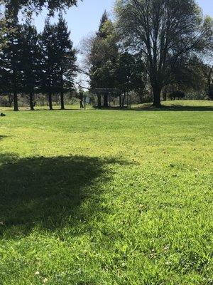 Grass, trees and fenced off section in rear