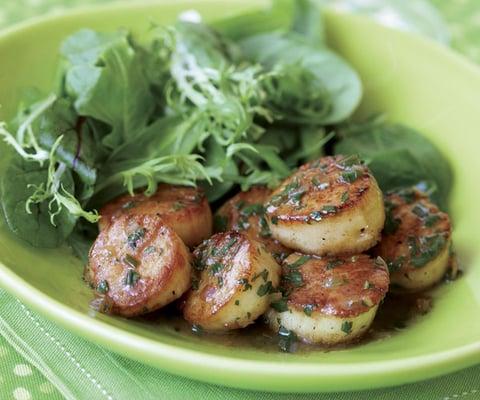 SEAR SEA SCALLOPS