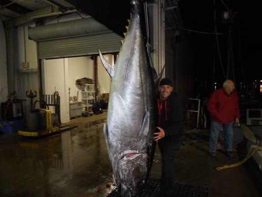 Karen Lynn Charters Gloucester, MA Giant Tuna fishing, Wicked Tuna