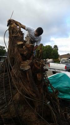 Clark's Gutter Cleaning