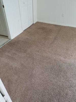 Dr Steemer Carpet Cleaning