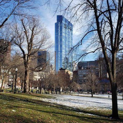 Looking at Millennium Tower from Boston Commons