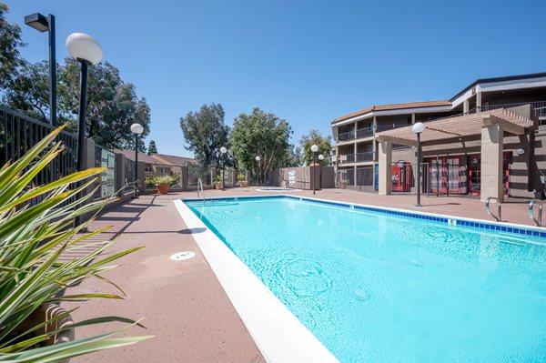 Alder Court Pool Area