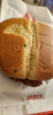 Moldy sammich bun