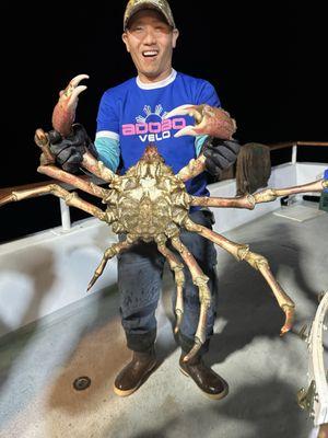 Score with the spider crab!