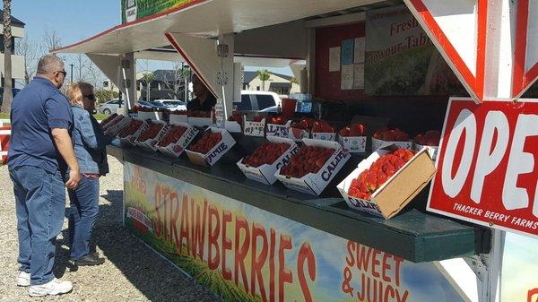 Our stand! Smells so sweet!