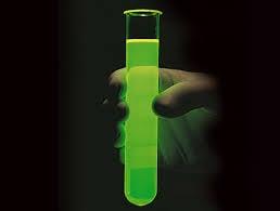 A Fluorescent Probe