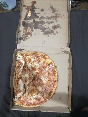 Destroyed PIZZA