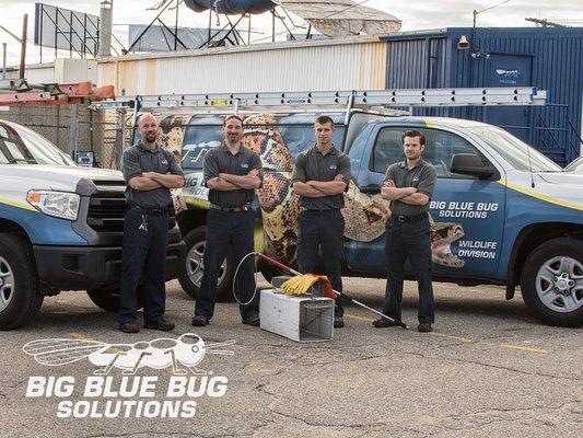 Big Blue Bug Solutions