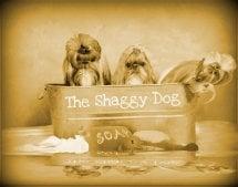 The Shaggy Dog