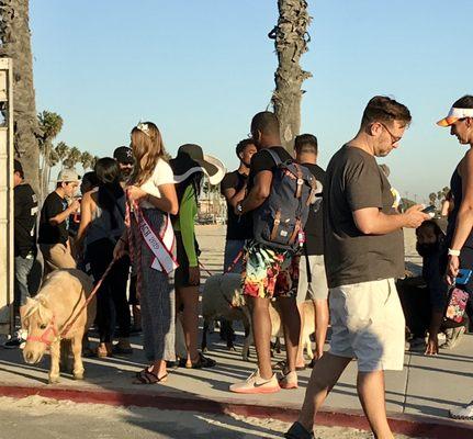 Rosie’s Dog Beach. The Blessing of the Animals.