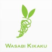 Wasabi Logo