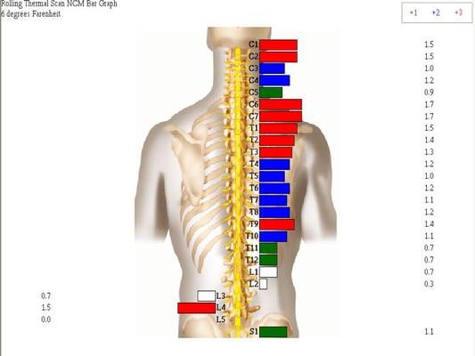 Have you seen how your nervous system is functioning?