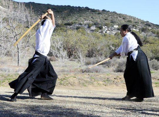 Sparring with Bokken and Jo staff.