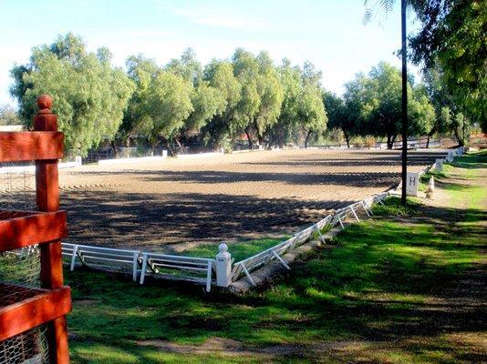 Retirement Horse  Boarding Chino Hills, Ca