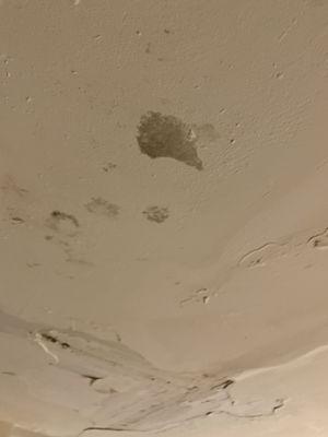 Mold on ceiling