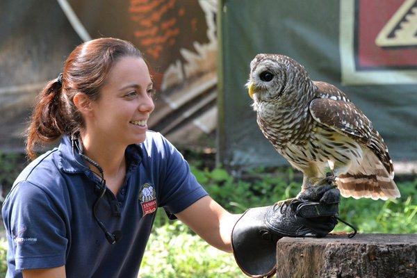 Free Flight Bird Show