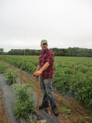 Farm To Gourmet Table