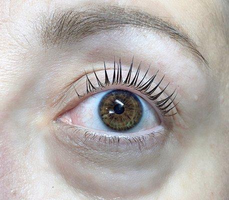 Lash Lift