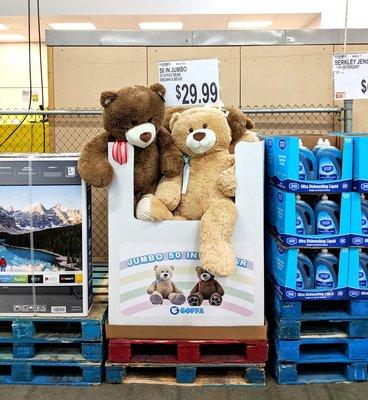 BJ's Conshohocken -- HUGE Teddy Bears!