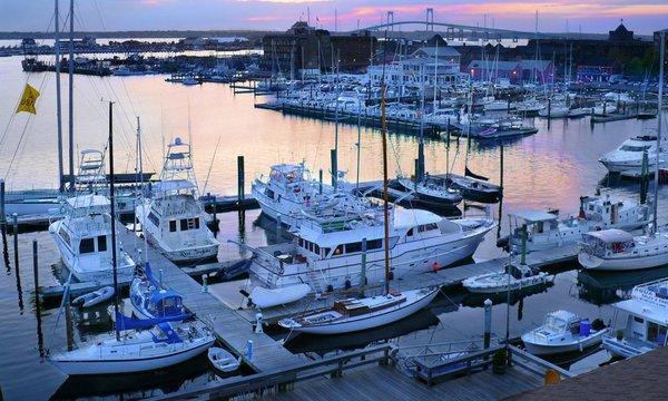 Newport Harbor