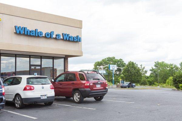 Whale of a Wash Car Wash