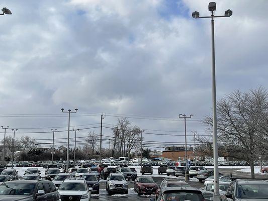 The car lot is huge! Lots to check out!