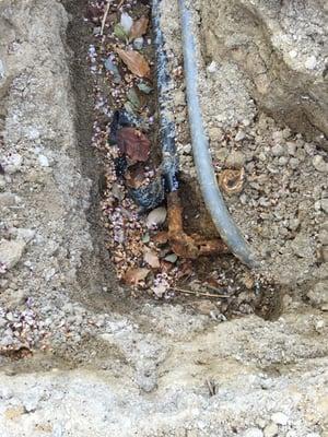 See my review. This is the completely corroded gas pipe that was laid during construction only 3 years ago.