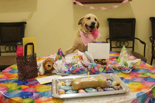 Have your next doggie Birthday Party with Us!