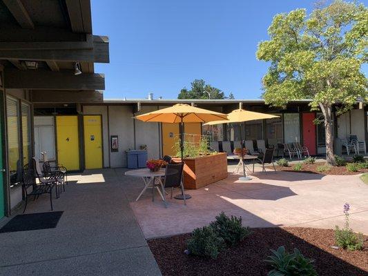 Classrooms are around the backyard