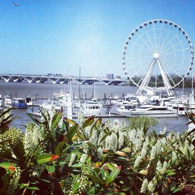 National Harbor