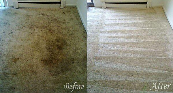 Powerful Steam Carpet Cleaning for carpets in any condition