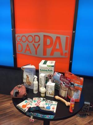 Live on Good Day PA at 12:30 today with the boxer puppy and #thepetlady for national train your dog month