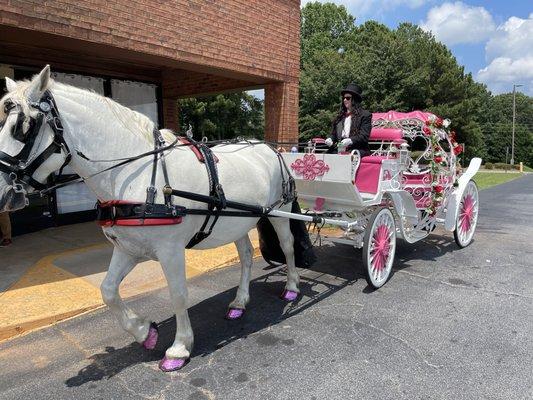 Cinderella carriage