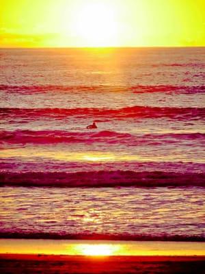 La Jolla Surf & Sunsets