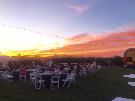 String lighting at sunset