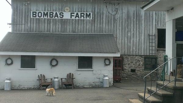 Bomba Bros Farm