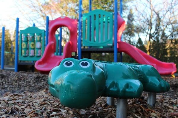 Alligator in the toddler playground