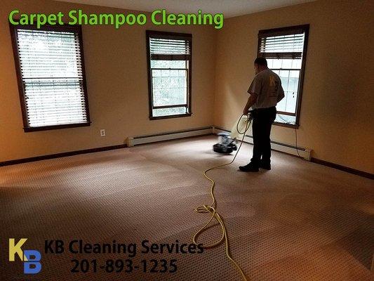 Carpet Shampoo in Township of Washington