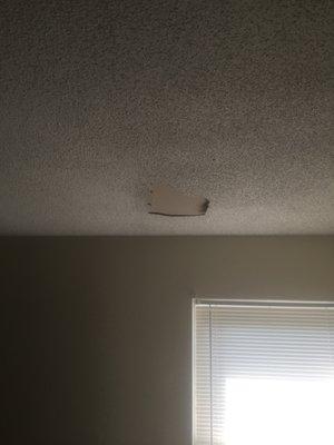 The paint form the ceiling that fell and took 3 weeks to fix