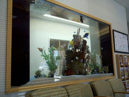 nice fish tank