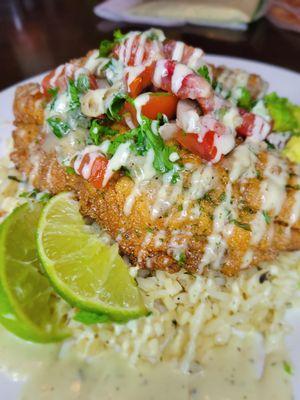 Cajun Catfish covered with fresh dice tomatoes & onions over Cilantro Lime Rice