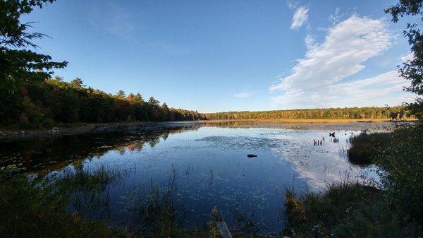 A shot of Knight's Pond.