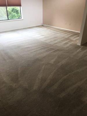 Master Bedroom Carpet