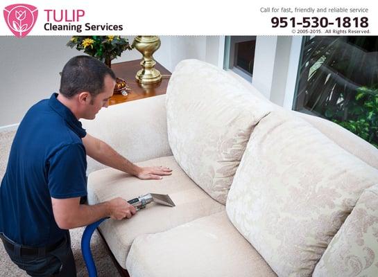 Tulip Cleaning Services