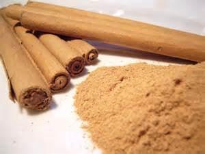 Shop Cinnamon