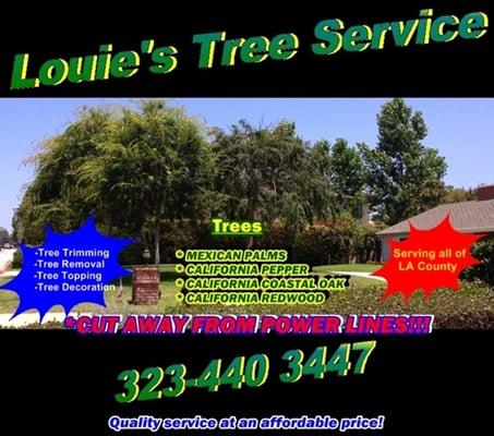 Tree service