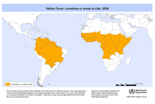 Some countries require yellow fever vaccine before you can enter. Make sure you're not stuck in the airport by getting the vaccine!